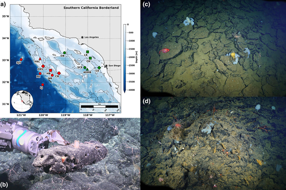 Exploring Links Between Deep-Sea Communities and Marine Minerals to Inform Resource Considerations